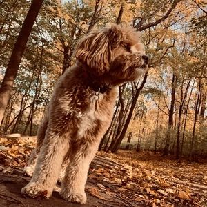 Meet your Posher, Joanne